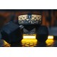 
                                        Metamorphosis Straight Weightlifting Belt -2POOD