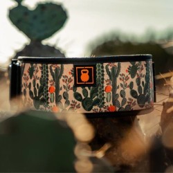 Колан за вдигане на тежести -2POOD- Prickly Pear 4"