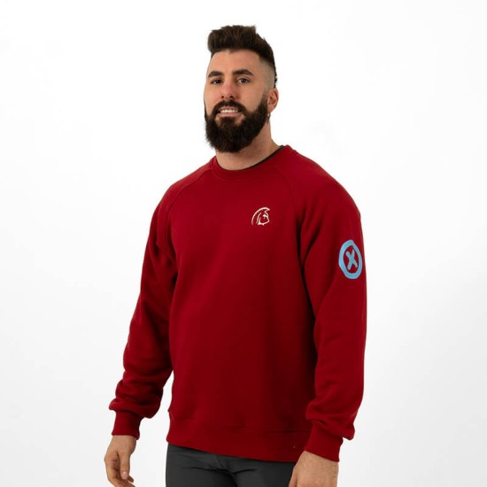 
                                        Мъжка спортна блуза Oversized ClimaGuard (Not Easier… But Better) – Titan Box Wear